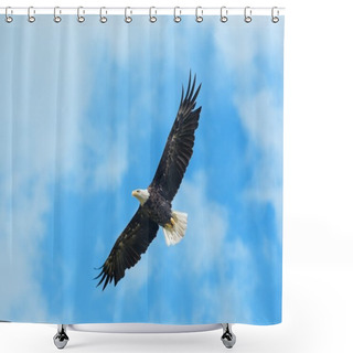 Personality  Bald Eagle In Flight Shower Curtains