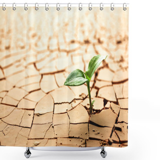 Personality  Plant In Dried Cracked Mud Shower Curtains