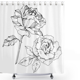 Personality  Vector Rose Floral Botanical Flowers. Black And White Engraved Ink Art. Isolated Roses Illustration Element. Shower Curtains