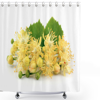 Personality  Linden Flowers Shower Curtains