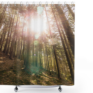 Personality  Sunshine And Trees On Hill In Mountains  Shower Curtains