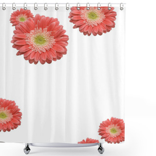 Personality  Falling Daisies On White Shower Curtains