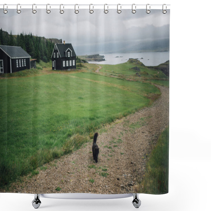 Personality  Black Furry Cat Walks On Green Grass Lawn Shower Curtains