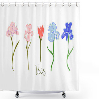 Personality  Hand Drawn Irises Flowers. Blossom, Botanical, Gardening, Wedding, Greeting Card Concept. Shower Curtains