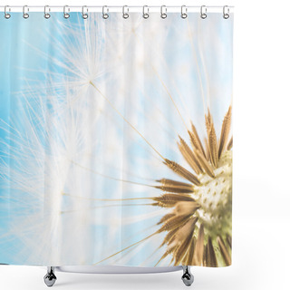 Personality  Dandelion Abstract Blue Background. Shallow Depth Of Field. Shower Curtains