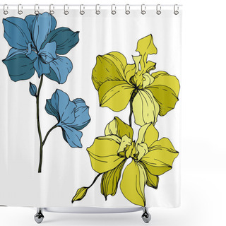 Personality  Vector Yellow And Blue Orchids Isolated On White. Engraved Ink Art. Shower Curtains