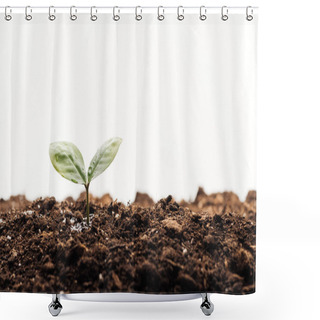 Personality  Small Green Plant With Leaves In Ground Isolated On White Shower Curtains