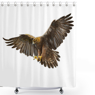 Personality  Golden Eagle Swoop Hand Draw On White. Shower Curtains