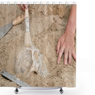 Personality   Hands Of Anthropologist With Human Skull  Shower Curtains