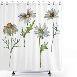 Personality  Chamomiles With Green Leaves Watercolor Illustration Isolated On White Shower Curtains
