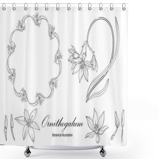 Personality  Botanical Illustration, Flower Compositions, Flower Wreaths. Black And White Shower Curtains
