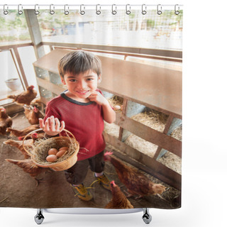 Personality  Little Boy Picking Chicken Egg In The Farm Shower Curtains