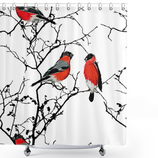 Personality  Bullfinches On The Branch Seamless Pattern Shower Curtains