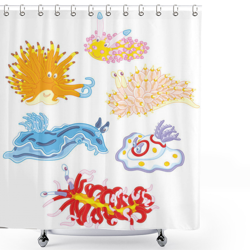 Personality  Collection of funny and colorful sea monsters - molluscs, vector illustrations in a cartoon style shower curtains