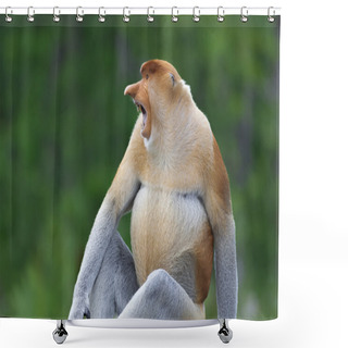 Personality  Proboscis Monkey Shower Curtains