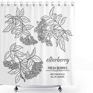 Personality  Elderberry Vector Set Shower Curtains