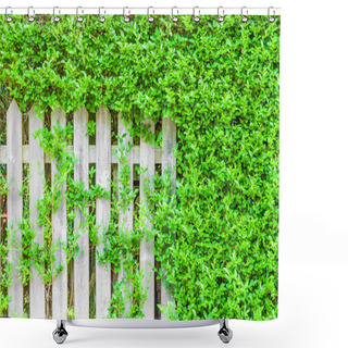 Personality  White Wooden Fence Overgrown With Green Leaves Shower Curtains
