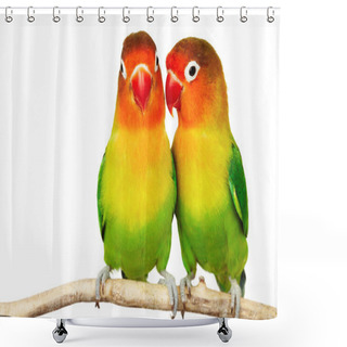 Personality  Pair Of Lovebirds Shower Curtains