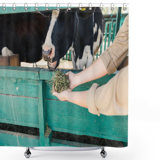 Personality  Farmer Feeding Cows In Stall  Shower Curtains