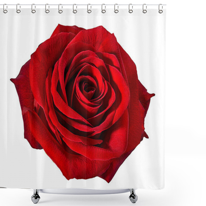 Personality  rose isolated on white background shower curtains