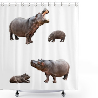 Personality  Family Hippos With Babes Shower Curtains