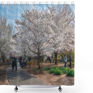 Personality  Afternoon Stroll In The Park  Shower Curtains