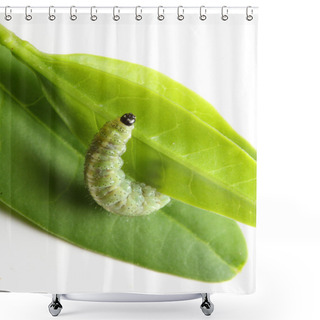 Personality  Caterpillar On Green Leaf Shower Curtains