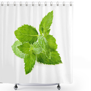 Personality  Leaf Spearmint On White Background Shower Curtains
