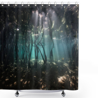 Personality  Bright Beams Of Sunlight Descend Into A Blue Water Mangrove Forest In Raja Ampat, Indonesia. This Beautiful And Remote Region Is Known For Its Astounding Marine Biodiversity. Shower Curtains