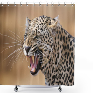 Personality  Snarling Leopard In The Timbavati Game Reserve, South Africa. Shower Curtains