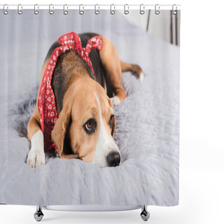 Personality  Sad Beagle Dog Shower Curtains