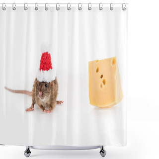 Personality  Rat In Santa Hat And Cheese On White Background With Copy Space In New Year  Shower Curtains