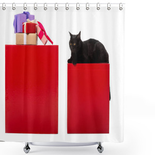 Personality  Black British Shorthair Cat Sitting On Red Cube Near Gift Boxes Isolated On White Background  Shower Curtains