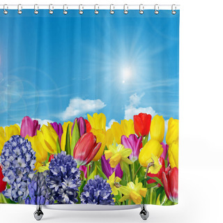 Personality  Spring Flowers Tulips On The Background Of Blue Sky With Clouds Shower Curtains