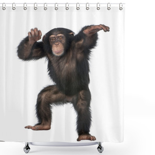 Personality  Young Chimpanzee Dancing Shower Curtains