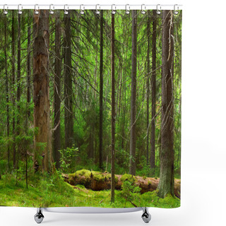 Personality  Fairy Pinewood Shower Curtains