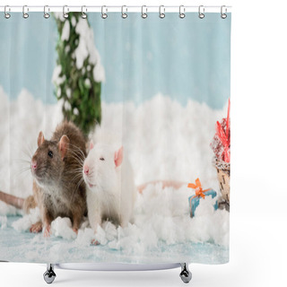 Personality  Cute Rats And Christmas Gift Boxes On Snow In New Year  Shower Curtains