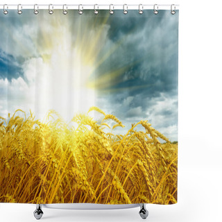 Personality  Golden Sunset Over Wheat Field Shower Curtains