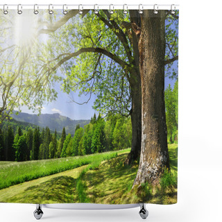 Personality  Spring Landscape In The National Park Sumava Shower Curtains
