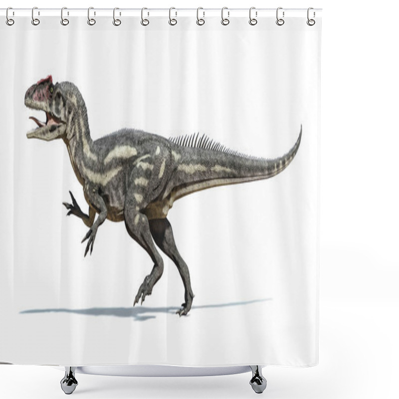 Personality  Photorealistic And Scientifically Correct 3 D Rendering Of An Al Shower Curtains