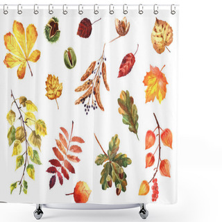 Personality  Watercolor Autumn Set Of Leaves And Nuts Isolated On A White Background Shower Curtains