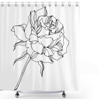 Personality  Vector Rose Floral Botanical Flowers. Engraved Ink Art. Isolated Roses Illustration Element. Shower Curtains