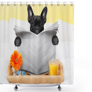 Personality  Dog Reading Newspaper  Shower Curtains
