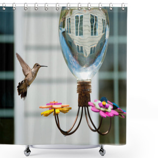 Personality  Hummingbird At The Feeder In The Garden Of A House Shower Curtains