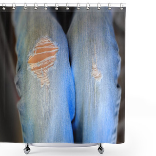 Personality  Fanishonable Denim Pants With Worn Out Knees Shower Curtains