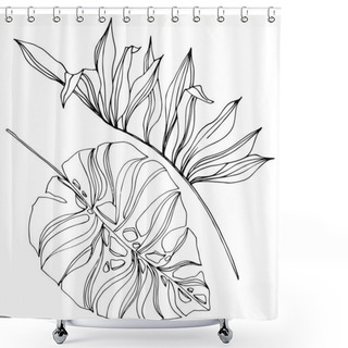 Personality  Palm Beach Tree Leaves Jungle Botanical Succulent. Black And White Engraved Ink Art. Isolated Leaf Illustration Element. Shower Curtains