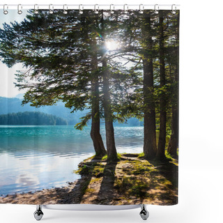 Personality  Trees On Shore Of Beautiful Glacial Black Lake In Montenegro With Sunlight Shower Curtains