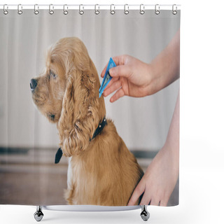 Personality   The Dog Is Dripped On The Withers With A Parasite Remedy Shower Curtains