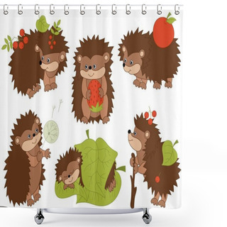 Personality  Vector Set Of Cute Cartoon Hedgehogs Shower Curtains