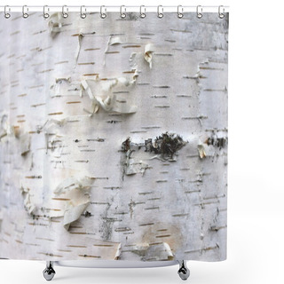 Personality  Closeup Of Birch Bark Texture, Natural Background Paper Shower Curtains